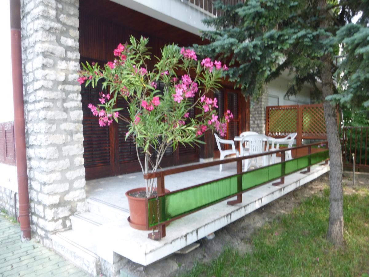 Oleander Holiday House Siófok Rum bild